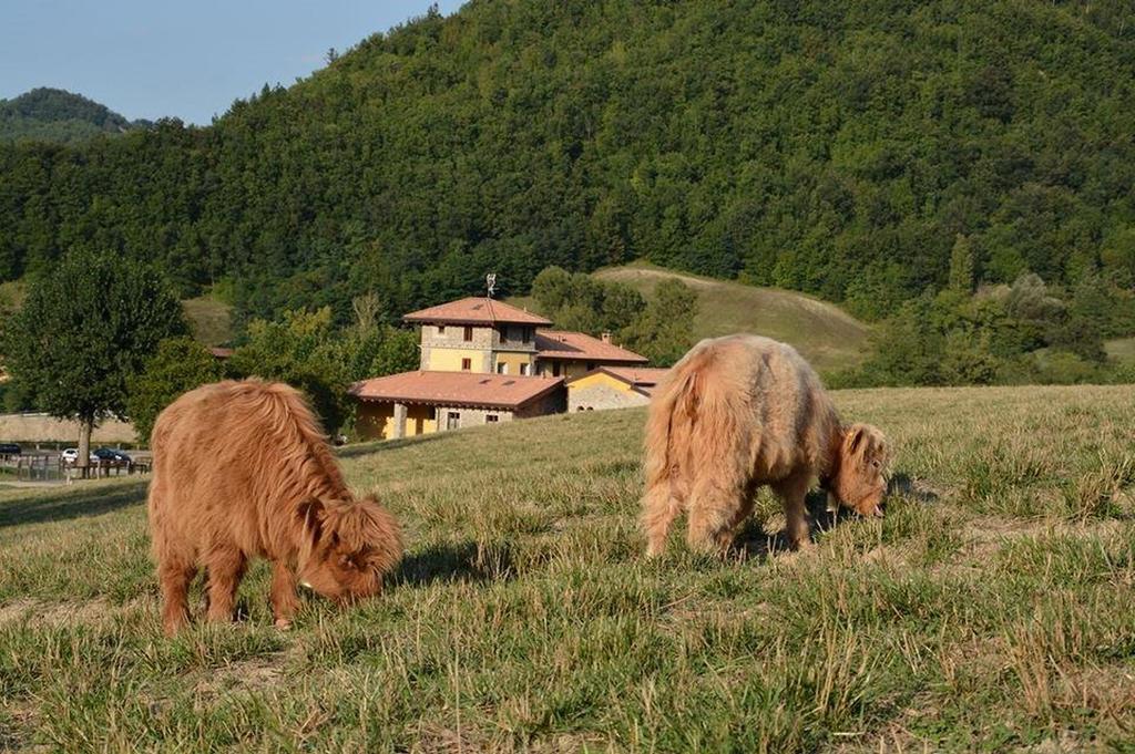 阿古丽卡贝拉酒店 San Sebastiano Curone 外观 照片