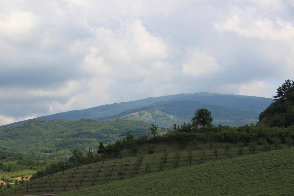 阿古丽卡贝拉酒店 San Sebastiano Curone 外观 照片